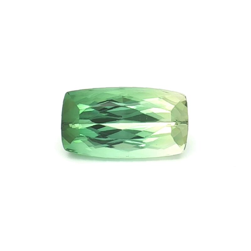 Tourmaline, Bi-color, Cushion, 11.97 ct